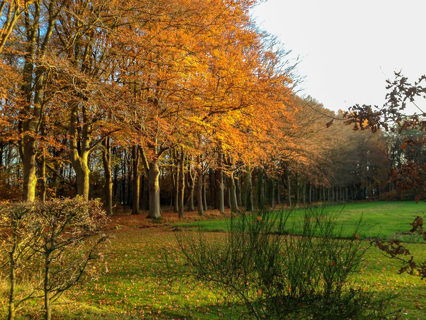 de-timmer-bed-en-breakfast-diepenveen--01