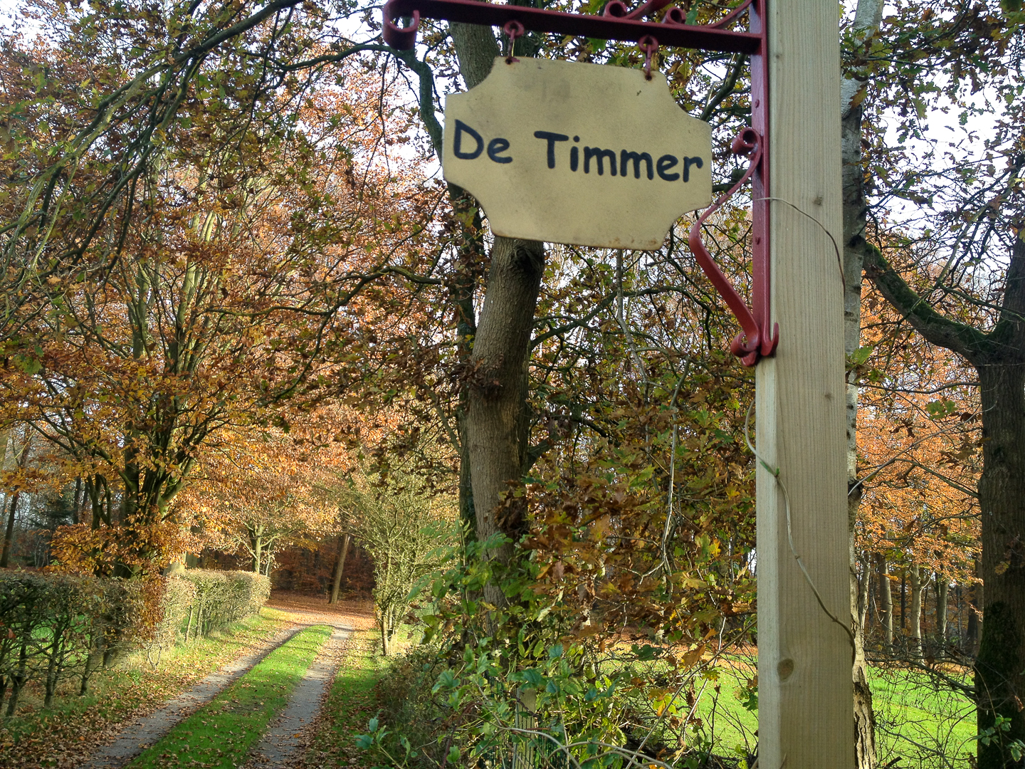 de-timmer-bed-en-breakfast-diepenveen--02