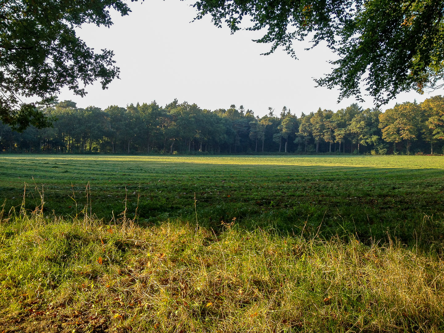 de-timmer-bed-en-breakfast-diepenveen--03