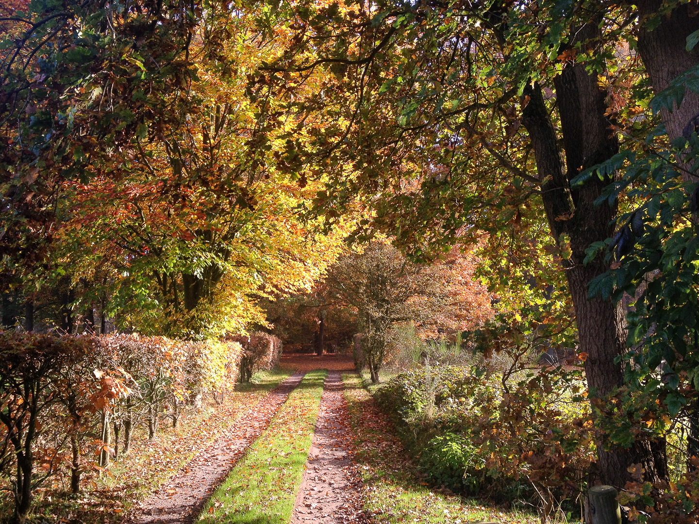 de-timmer-bed-en-breakfast-diepenveen--04