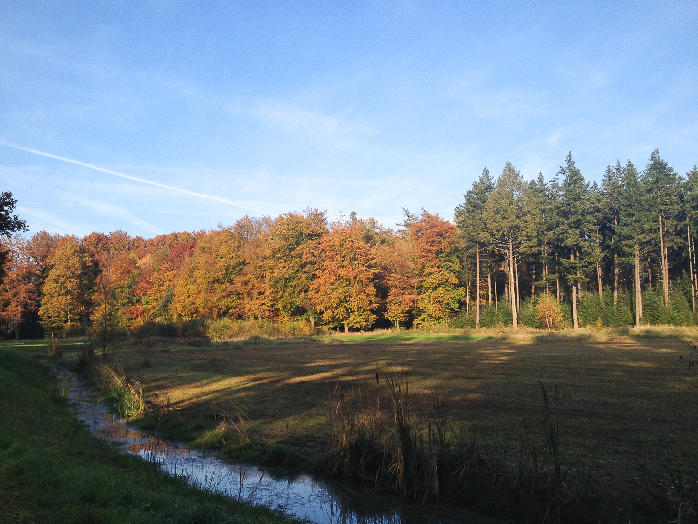 de-timmer-bed-en-breakfast-diepenveen--05
