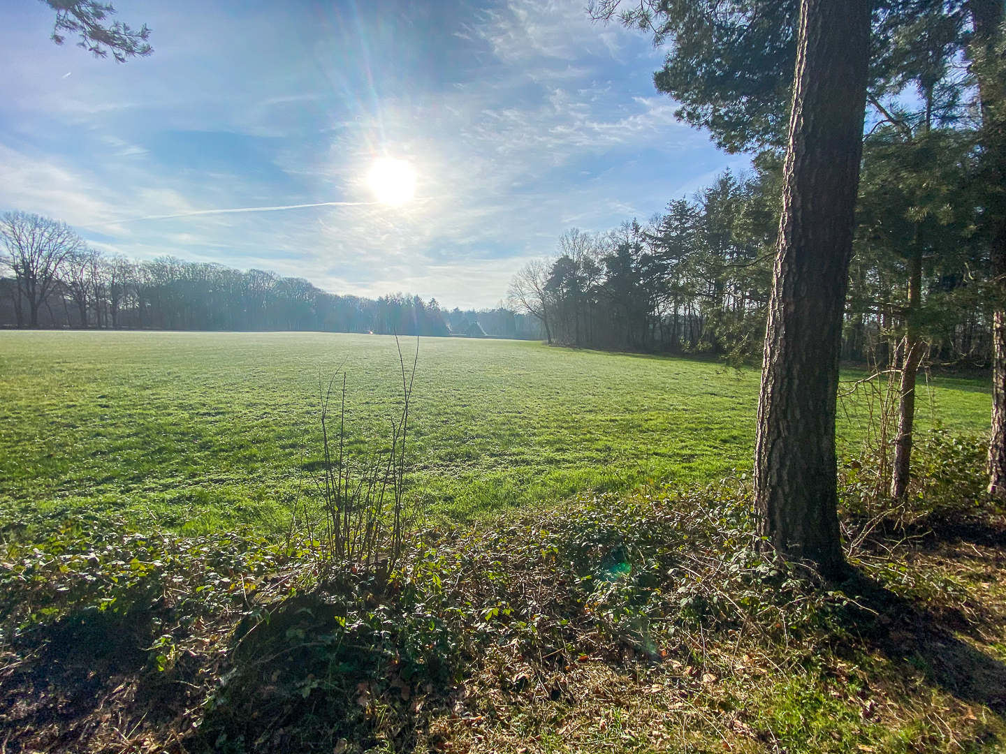 de-timmer-bed-en-breakfast-diepenveen--06