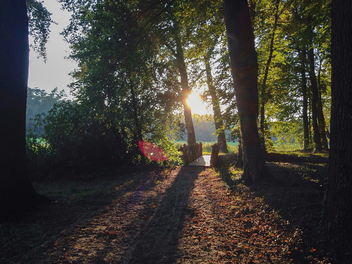 de-timmer-bed-en-breakfast-diepenveen--09